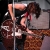Brandi Carlile 7235