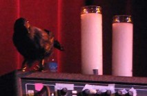 Brandi Carlile - Stage Prop